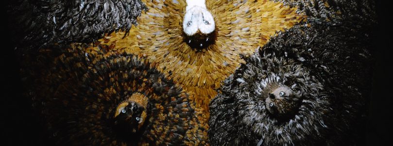 Chassez le Naturel, il revient à Paris !